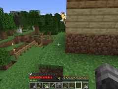 Minecraft! Making a safer home!