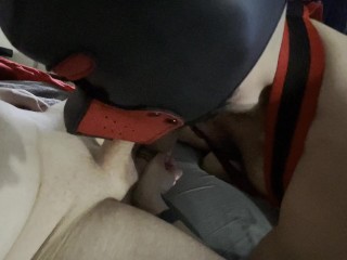 マスターは彼のペニスを彼の子犬に吸い込まれます