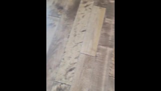 Тестовый 1234567