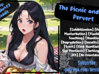 De Picknick En De Pervert | Audio Rollenspel