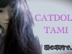 cat train - Screenshot 1 of 16 - Catdoll