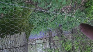 Pissen in de buurt van privé bos met blauwe bellen