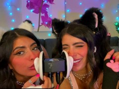 ASMR TWO Cats Flirt and Lick Your Ears with Eye Contact layered  sounds - CorneliustheCat ASMR