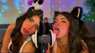 ASMR TWO Cats Flirt and Lick Your Ears with Eye Contact layered  sounds - CorneliustheCat ASMR