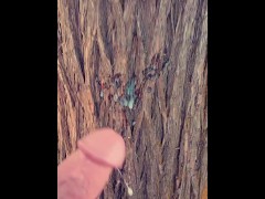 California sunshine makes me shoot Massive load all over a tree