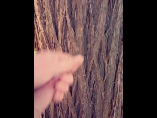 California sunshine makes me shoot Massive load all over a tree Video