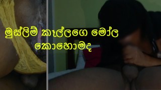 මුස්ලිම් කෑල්ලගෙ මෝල  කොහොමද- - Sri Lankan muslim girl Fuck hard 😋😋 -Hansi productions