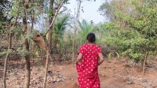 Desi bhabhi sexo duro com sexo ao ar livre