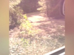 Jerkin my small penis in the forest