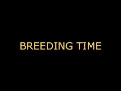 DADDY TALKING DIRTY (COMPOLATION) ROUGH DOM AUDIO JOI/INTENSE EROTICA HARDCORE FUCKING DIRTY TALKING