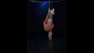 Серые спортивные штаны Pole Dance