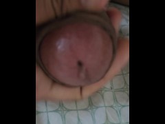 Mis bolas ricas piden por una chupadita de pene