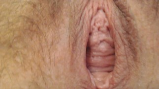 Экстремальный Крупный План Киска Зияет