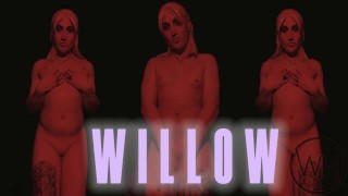 TS WILLOW - Espiada PMV