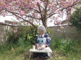咲屋が桜で餅を作る[東方コス]