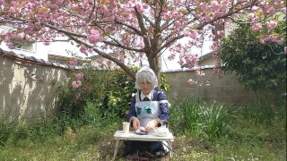 sakuya hace mochis con flores de cerezo [Touhou cos]