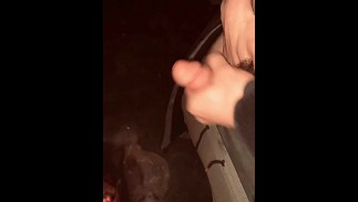 Hard dick and fire