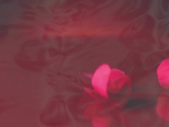 Titty Fuck with Squirting Dildo