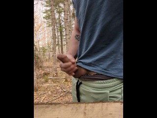 Cuming in the Woods