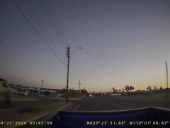 Bird Attacks My Truck