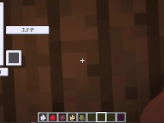 Futanari succubus from fapcraft modification - Screenshot 3 of 16 - Minecraft Jenny