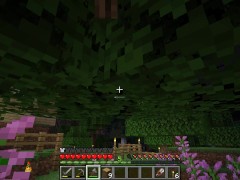 Minecraft! Trying to get food (not easy)
