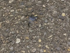 【既婚リーマン】歩道橋の上で射精できるか挑戦してみました！結果はいかに？！ - Screenshot 14 of 16 - Cum