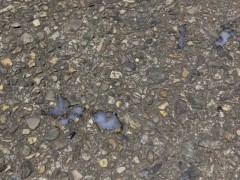 【既婚リーマン】歩道橋の上で射精できるか挑戦してみました！結果はいかに？！ - Screenshot 15 of 16 - Handjob