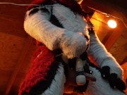 Preview 2 of Husky Fursuiter Suspension Jerkoff