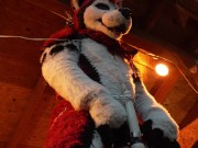 Preview 5 of Husky Fursuiter Suspension Jerkoff
