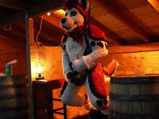 Husky Fursuiter Suspension Jerkoff