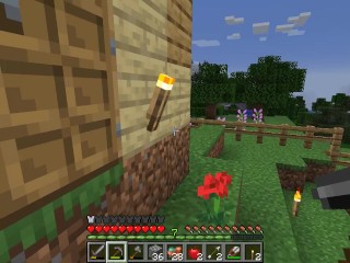 Minecraf! now i have a Bed!!!