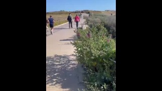 性感荡妇在公共场合穿着裙子丝袜为爸爸们炫耀硬鸡巴