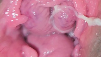 Exploring my vulva