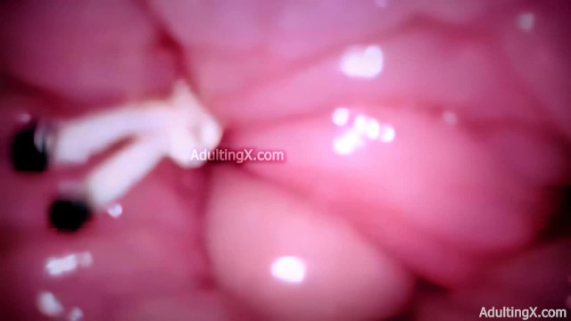 Camera in Vagina, Cervix POV, Tiny Cucked by Giant 'Couple ...