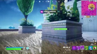 Fortnite : la chasse à la victoire royale