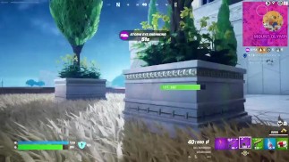 Fortnite: hunting for the victory royal