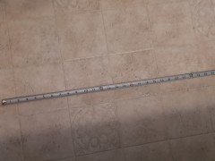 Farthest Cumshot So Far (30 Inches)