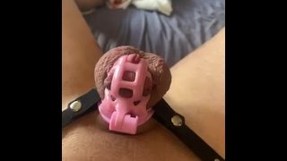 Chastity cuck vibrating his nub