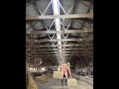Hay, catch! - Screenshot 1 of 16 - Big Dick