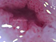 Preview 5 of Cervix Throbbing, Dilated, Heartbeat, Extreme Close-up, Stunning, ASMR