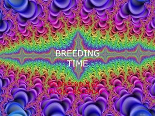 DIRTY BREEDING WHORE GETS IMPREGENATED AND CREAMPIED DEEP / DADDY DOM EROTICA