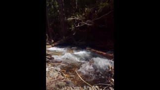 на открытом воздухе красотка показывает вам свою