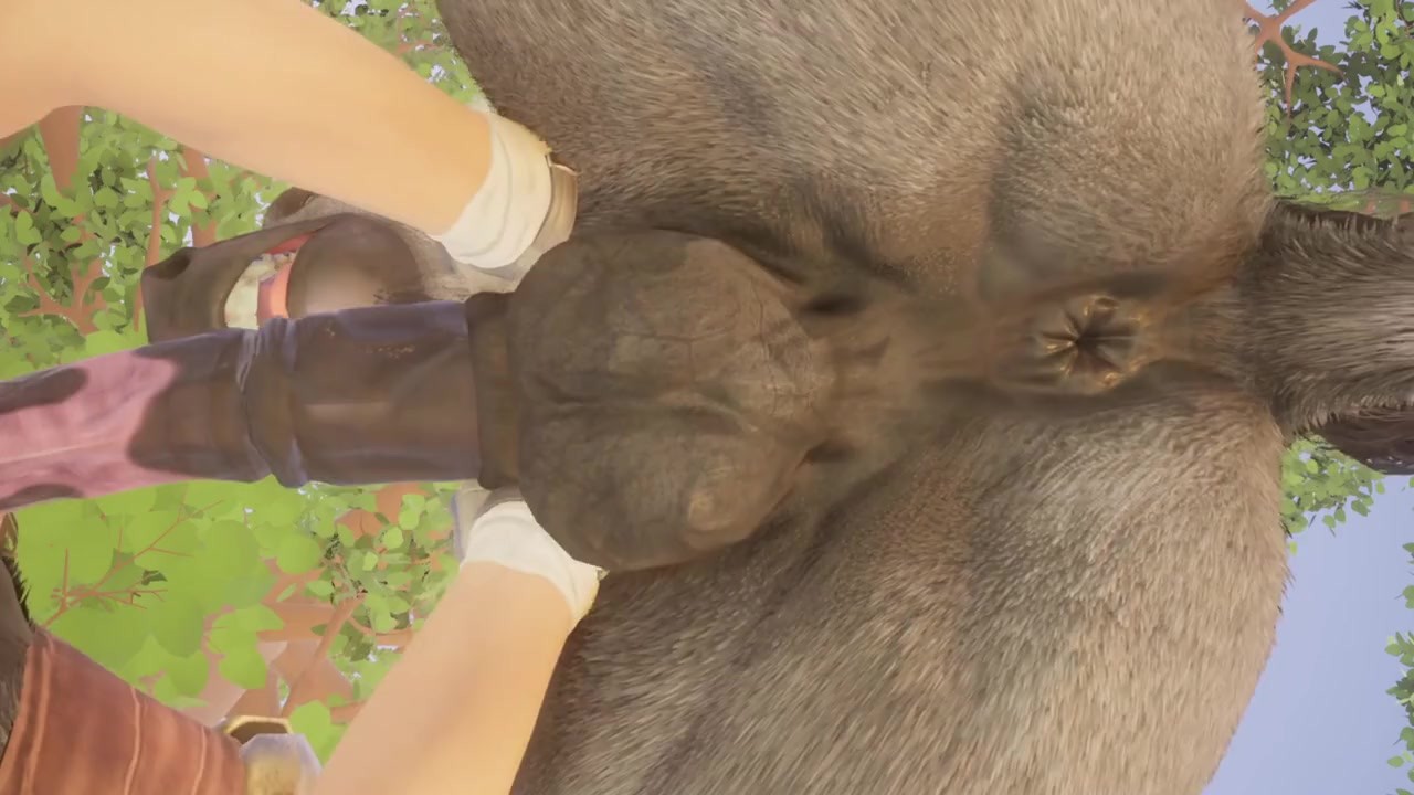 Gay sex horse