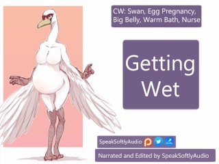 HBP- Принятие ванны с большой беременной мамой лебедь ж/д