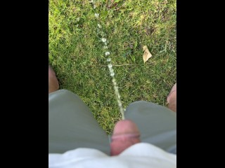 Oh Look… a Dandelion! 4K 120FPS #20