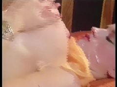 Joystick Surprise - Original Full Movie 15/16