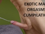EXOTIC CUMPILATION: Loud Moaning Male Orgasms You Don't See Everyday!