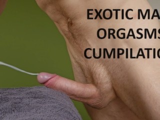 EXOTIC CUMPILATION: Loud Moaning Male Orgasms you don't see Everyday!