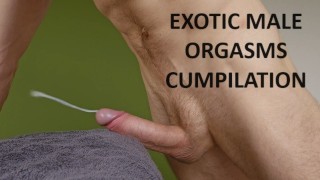 EXOTIC CUMPILATION Loud Moaning Male Orgasms You Don't See Everyday